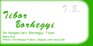 tibor borhegyi business card